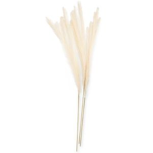 Umelá kvetina PAMPLY 3 ks krémová vyobraziť