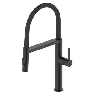 SAPHO SAPHO - ATON stojanková drezová batéria so sprškou, čierna mat EV125B vyobraziť