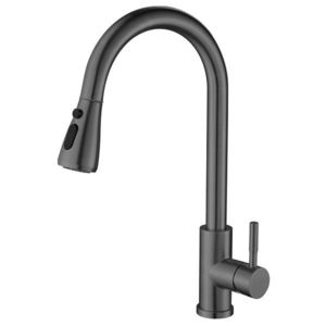 SAPHO SAPHO - MIKELA stojánkova drezová batéria s výsuvnou sprškou, gun metal 1106-30GM vyobraziť