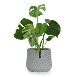 Fox & Fern Heusden, kvetináč, Polystone, vhodný pre rastliny, ručná výroba vyobraziť