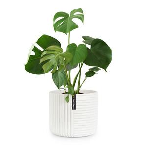 Fox & Fern Hasselt, kvetináč z polystonu, ručne robený vyobraziť