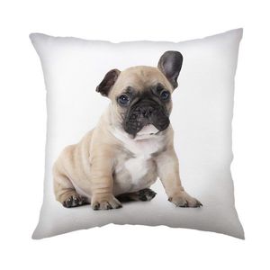 Jerry Fabrics Detský vankúšik s potlačou - Bulldog | 40 x 40 cm vyobraziť