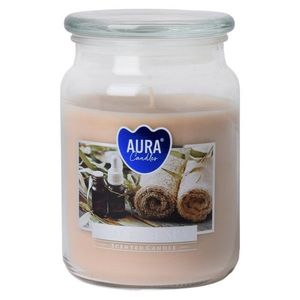 KONDELA Leana vonná sviečka v skle 500 g priehľadná / béžová vyobraziť