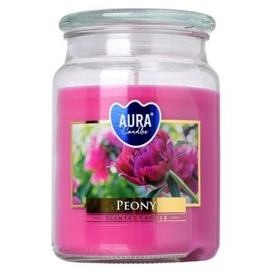 KONDELA Leana vonná sviečka v skle 500 g priehľadná / ružová vyobraziť