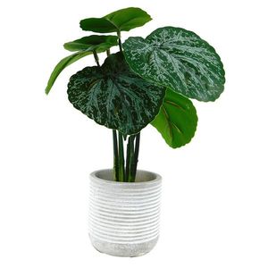 MAKRO - Kvet umelý v kochlíku 7x27cm vyobraziť