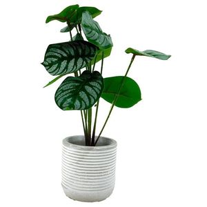 MAKRO - Kvet umelý v kochlíku 7x27cm, listy vyobraziť