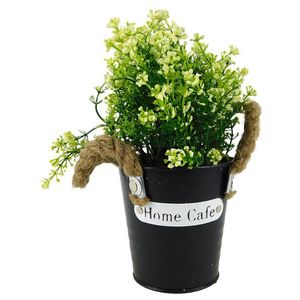 MAKRO - Sukulent 23cm rôzne farby vyobraziť