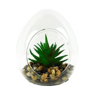 MAKRO - Sukulent v skle 10x12cm, sklo / umelá hmota vyobraziť