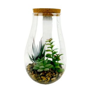 MAKRO - Sukulent v skle s LED na 3LR batérie, 8, 5x23x14cm vyobraziť