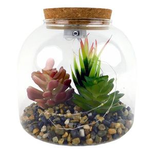 MAKRO - Sukulent v skle s LED, 15x15x15cm vyobraziť