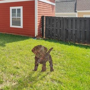 Záhradná dekorácia Amicable 02 vyobraziť