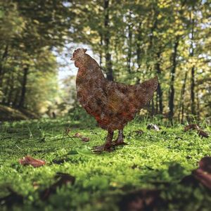 Záhradná dekorácia Chicken -A 01 vyobraziť