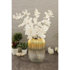 Vase Line D20G vyobraziť