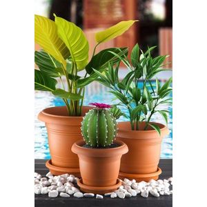 Vase Set ANTSKS-3 vyobraziť