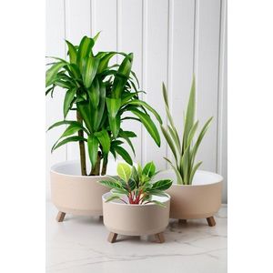 Vase Set TRPTSKS-3-3 vyobraziť