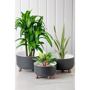 Vase Set TRPTSKS-1-3 vyobraziť