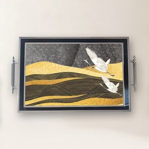 Tray TPG9858 vyobraziť