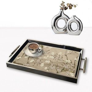 Tray TPG9850 vyobraziť