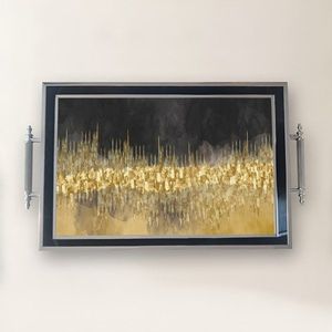 Tray TPG9828 vyobraziť