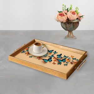 Tray TPEA9933 vyobraziť