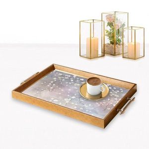 Tray TPEA9813 vyobraziť