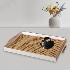 Tray TPB9896 vyobraziť