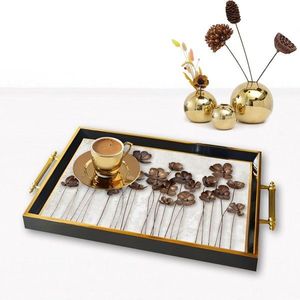 Tray TPA9861 vyobraziť