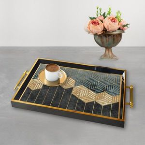 Tray TPA9845 vyobraziť