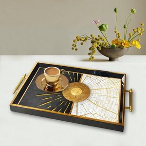 Tray TPA9834 vyobraziť