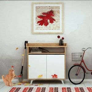 Skrinka na topánky / Botník Springa vyobraziť