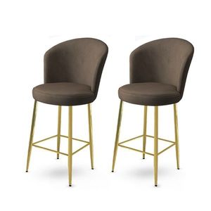 Bar Stool Set (2 Pieces) Fora - Anthracite, Gold vyobraziť