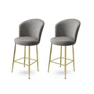 Bar Stool Set (2 Pieces) Alte - Grey, Gold vyobraziť