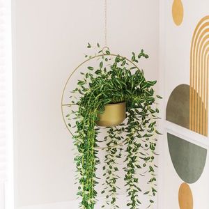 Dekoratívny kvetináč Payanda - Gold vyobraziť