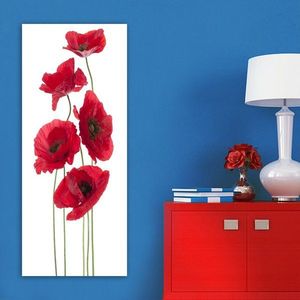 Dekoratívny obraz na plátne DKY128322_50120 vyobraziť