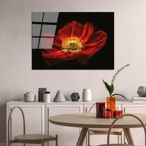 Dekoratívny obraz z tvrdeného skla UV-204 70 x 100 vyobraziť