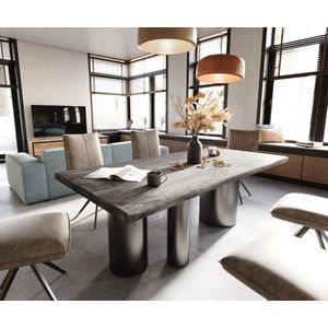 Jedálenský stôl Edge 200x100 XL Akácia Platinum Troa Nerezová oceľ vyobraziť