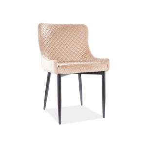 Jedálenské kreslo COLIN B VELVET Signal vyobraziť