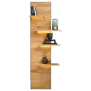 Linea Natura NÁSTENNÝ PANEL, čierna, divoký dub vyobraziť