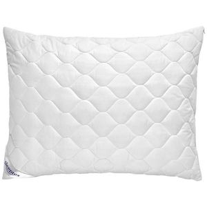 Sleeptex VANKÚŠ POD HLAVU, 70/90 cm vyobraziť