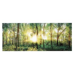 Euroart SKLENENÝ OBRAZ, krajina a príroda, 125/50 cm vyobraziť