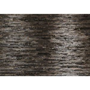 FOTOTAPETA velikost: 368/254 cm vyobraziť