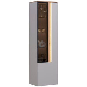 Dieter Knoll ZÁVESNÁ VITRÍNA, farba duba, svetlosivá, 45, 4/164, 6/36 cm vyobraziť