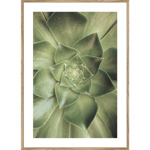 Monee UMELECKÁ TLAČ, rastliny, 51, 2/71, 2 cm vyobraziť