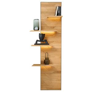 Linea Natura NÁSTENNÝ PANEL, čierna, divoký dub vyobraziť