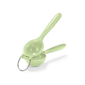 Lis na citrusy vyobraziť