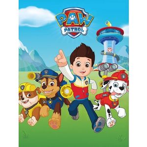 Dětská fleecová deka POLAR PAW PATROL BOY 100x140 cm modrá vyobraziť