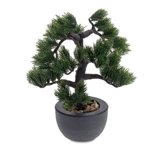 Ihličnatá Bonsai vyobraziť