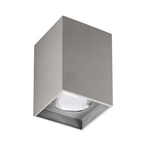 Rabalux 2487 - Stropné svietidlo MADDOX 1xE27/60W/230V vyobraziť