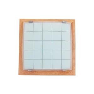 Prezent Nástenné stropné svietidlo GEOMETRICA 1xE27/60W/230V 30x30 cm vyobraziť