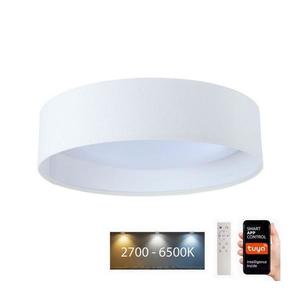 LED Stmievateľné svietidlo SMART GALAXY LED/24W/230V pr. 45 cm Wi-Fi Tuya + DO vyobraziť